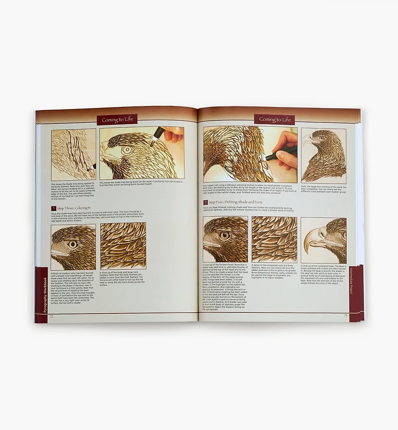 Pyrography Workbook