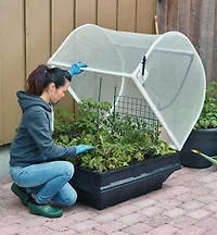 Vegepod Container Garden