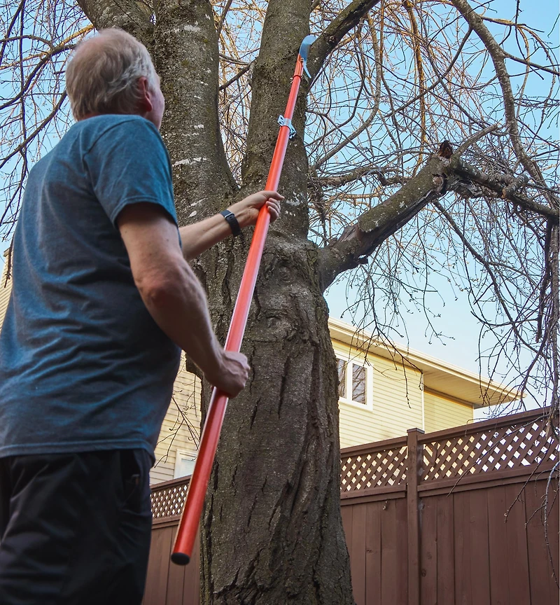 Pole Pruning Set