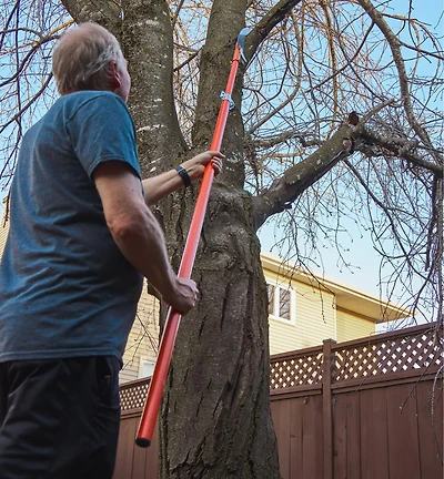 Pole Pruning Set