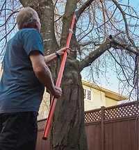 Pole Pruning Set