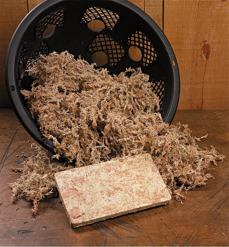 Sphagnum Moss
