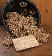 Sphagnum Moss