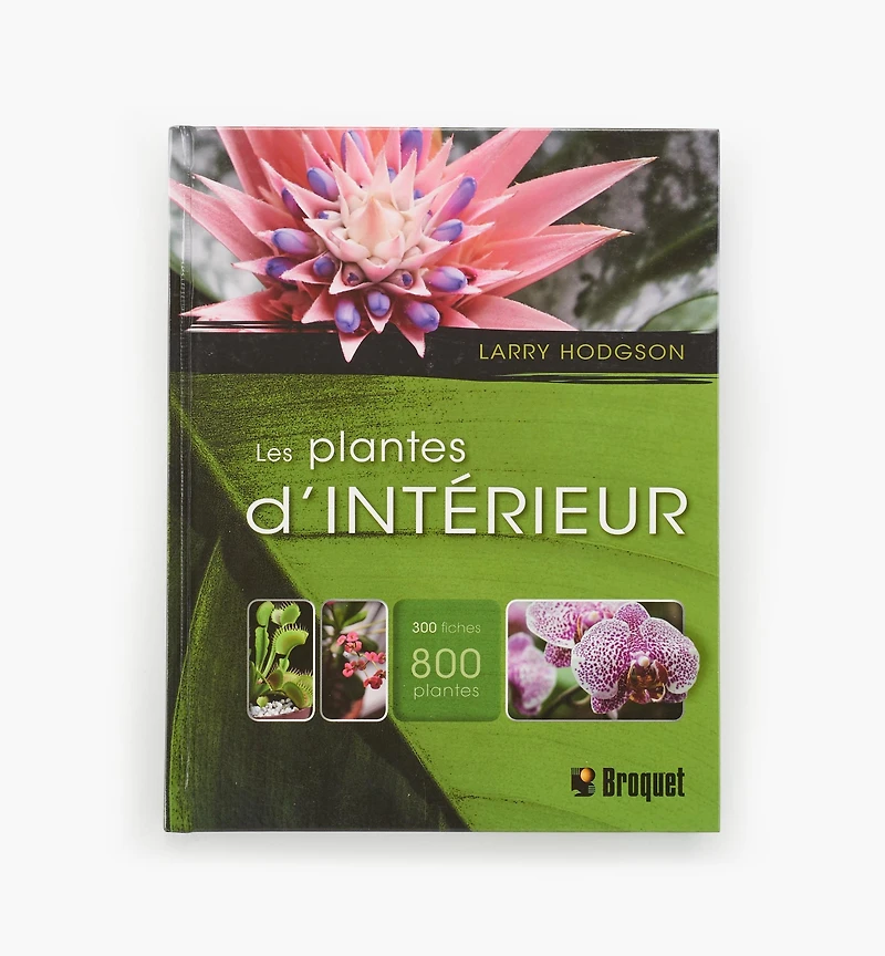 Les plantes d'intérieur