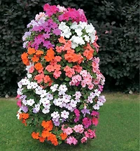 Pair of Flower Towers