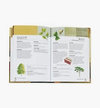 Wood ID Handbook