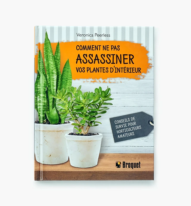 Comment ne pas assassiner vos plantes d'intérieur
