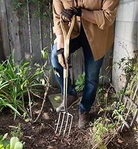 Border Fork