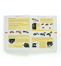 The Bees in Your Backyard