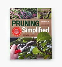 Pruning Simplified