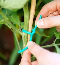 Soft-Stretch Plant Tie