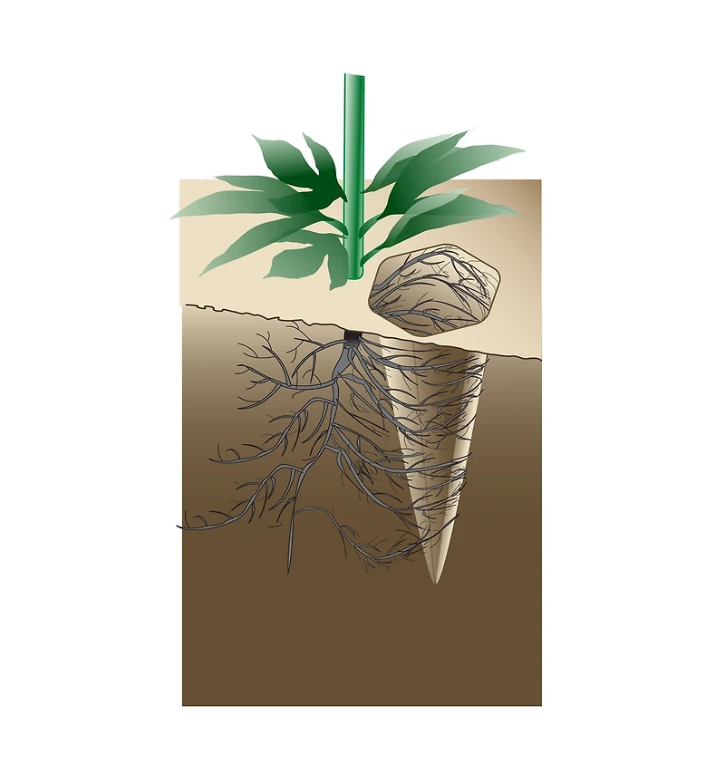 Watering Spikes