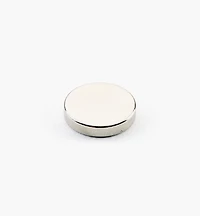 Rare-Earth Circular Magnets