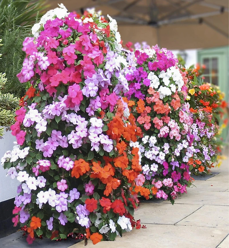Pair of Flower Towers