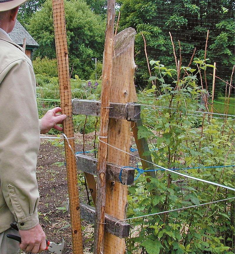 Deer Fence