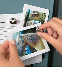 Super Magnets for the Fridge