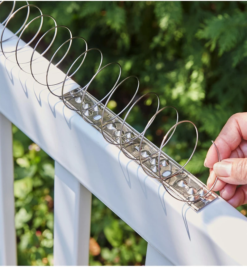 Coil Bird Deterrent