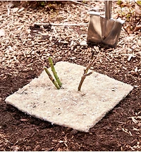 Weed Suppression Squares