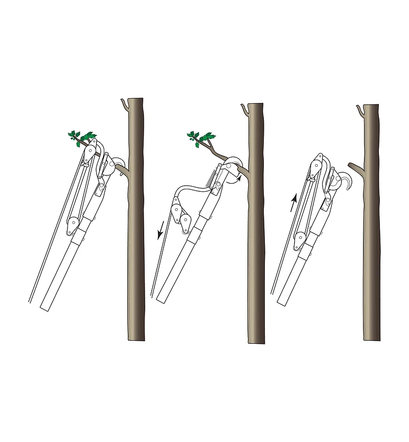 Jameson Professional Tree-Pruning Kit