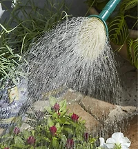 Arrosoir en plastique Haws, 6,8 L