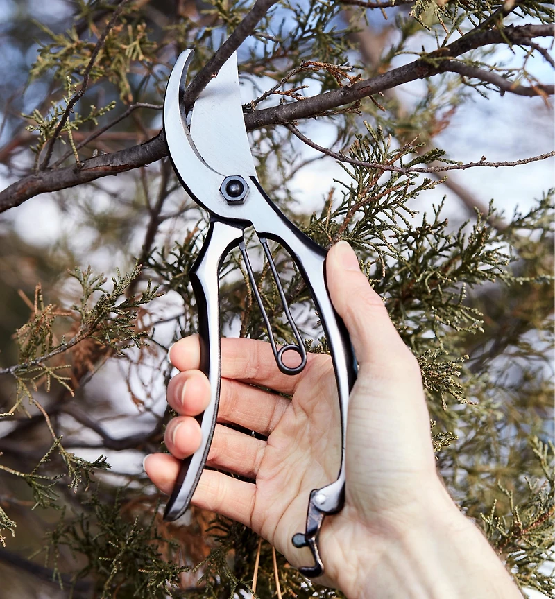 All-Steel Bypass Pruner