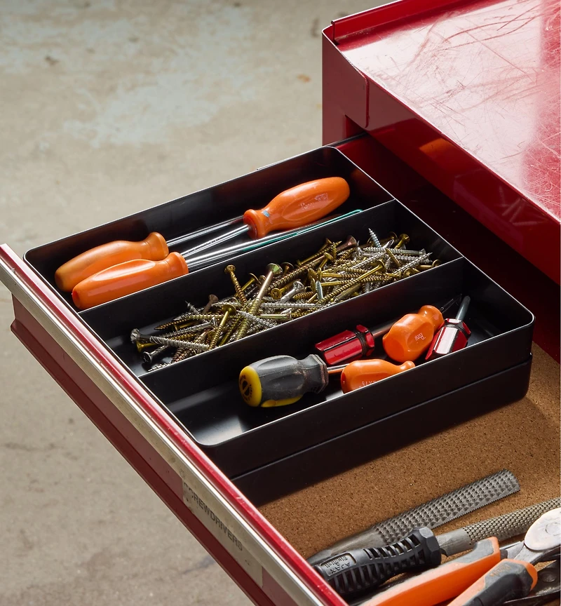 Three-Compartment Tray