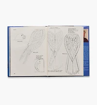 Birds of Prey, Blue Ribbon Techniques