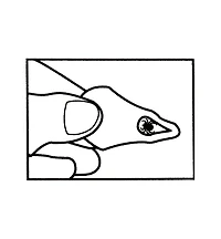 Set of 3 Tick Key Tick Removers