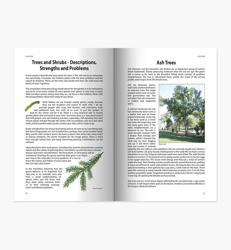 Your Trees: What They Want You to Know