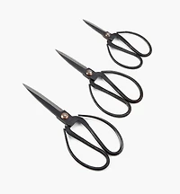 Set of 3 Traditional Chinese Scissors
