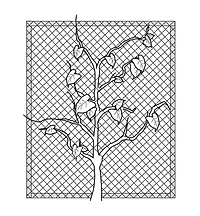 Garden Netting