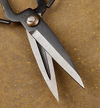 Set of 3 Traditional Chinese Scissors