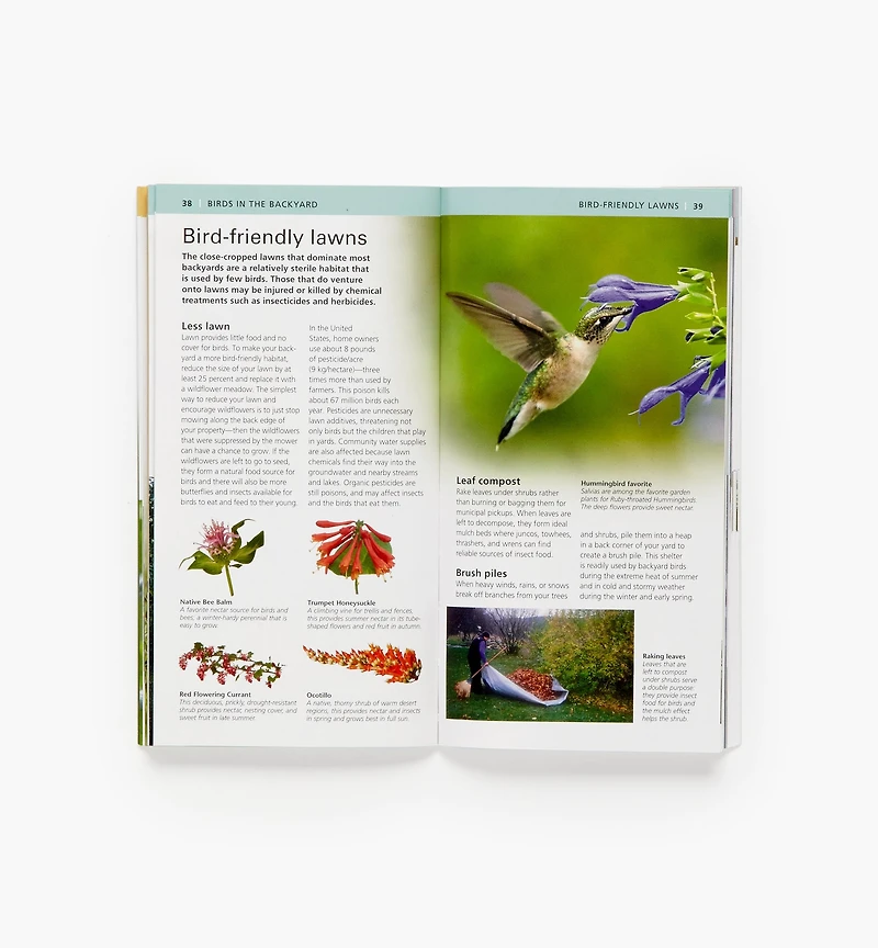 Audubon Pocket Backyard Birdwatch