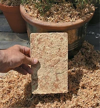 Sphagnum Moss
