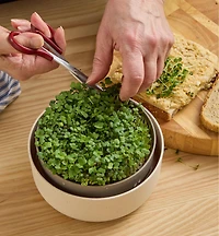 Microgreen Seed Sprouter