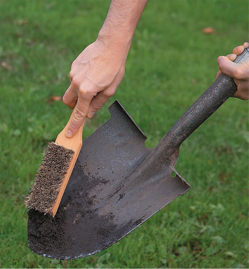 Brosse pour outils de jardinage