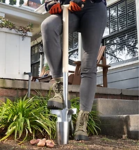 Plantoir à bulbes en acier inoxydable à manche en bois