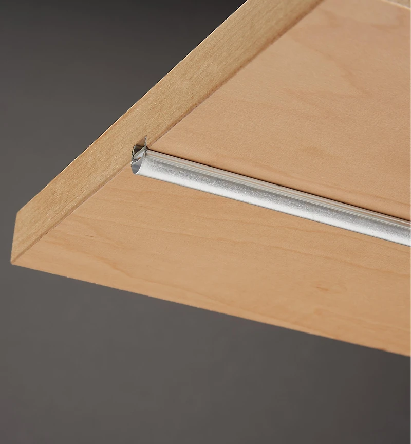 Luminaires à DEL RigidStrip (12 V)