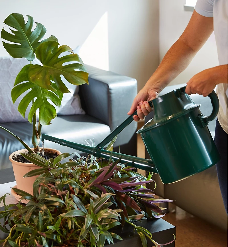 Haws 6.8 Litre Plastic Watering Can