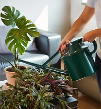 Haws 6.8 Litre Plastic Watering Can