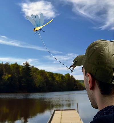 Libellule effaroucheuse Dragonfly Wingman