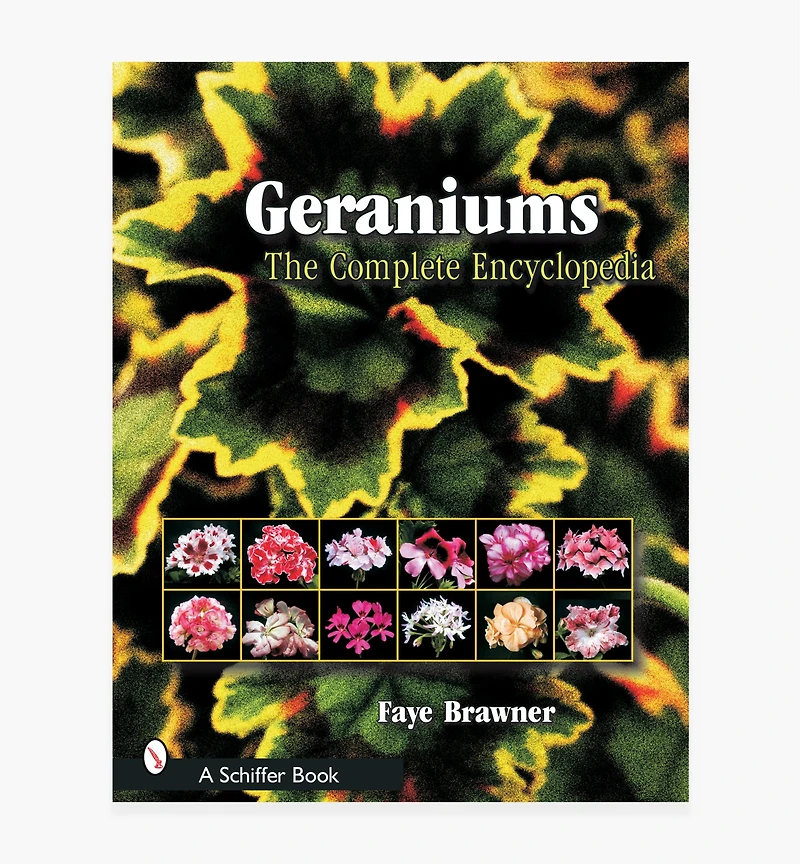 Geraniums