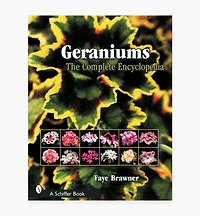 Geraniums