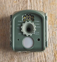 Appareil photo BirdCam