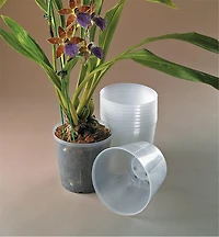 Pots transparents pour orchidées