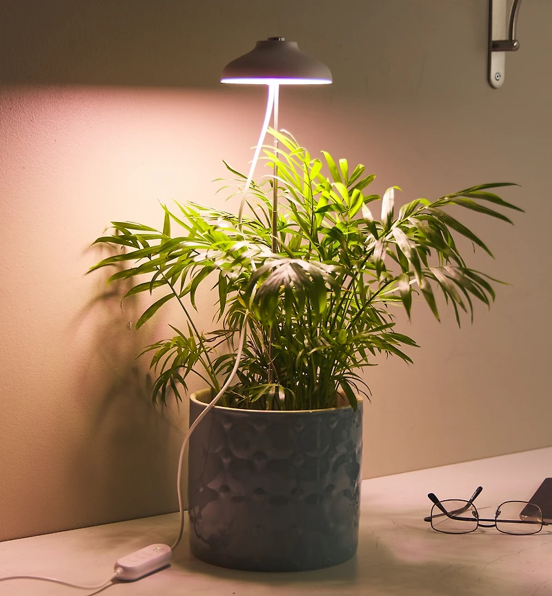 Mini LED Grow Light