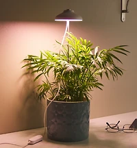 Mini LED Grow Light