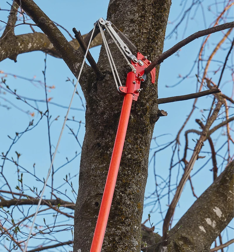Pole Pruning Set