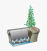 Self-Watering Planter