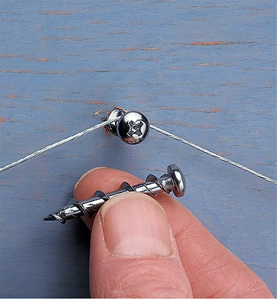 Wall Dog Screws